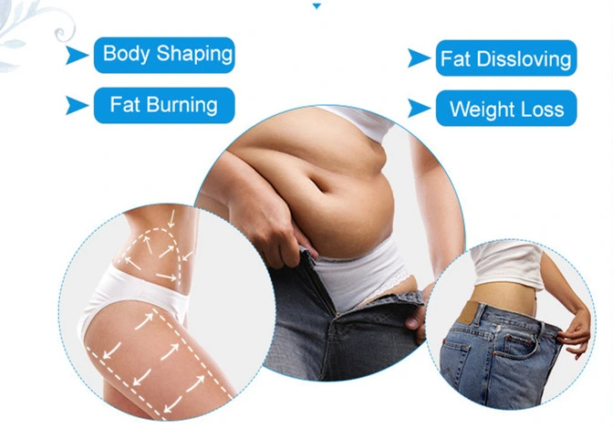 Máquina avançada de lipolaser 6D de lipólise 209mw Super 6d Lipo Laser Liposuction com 635nm 650nm 780nm 810nm 940nm 980nm 2